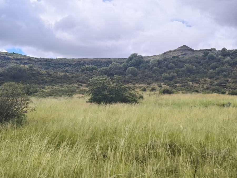 0 Bedroom Property for Sale in Jamestown Eastern Cape